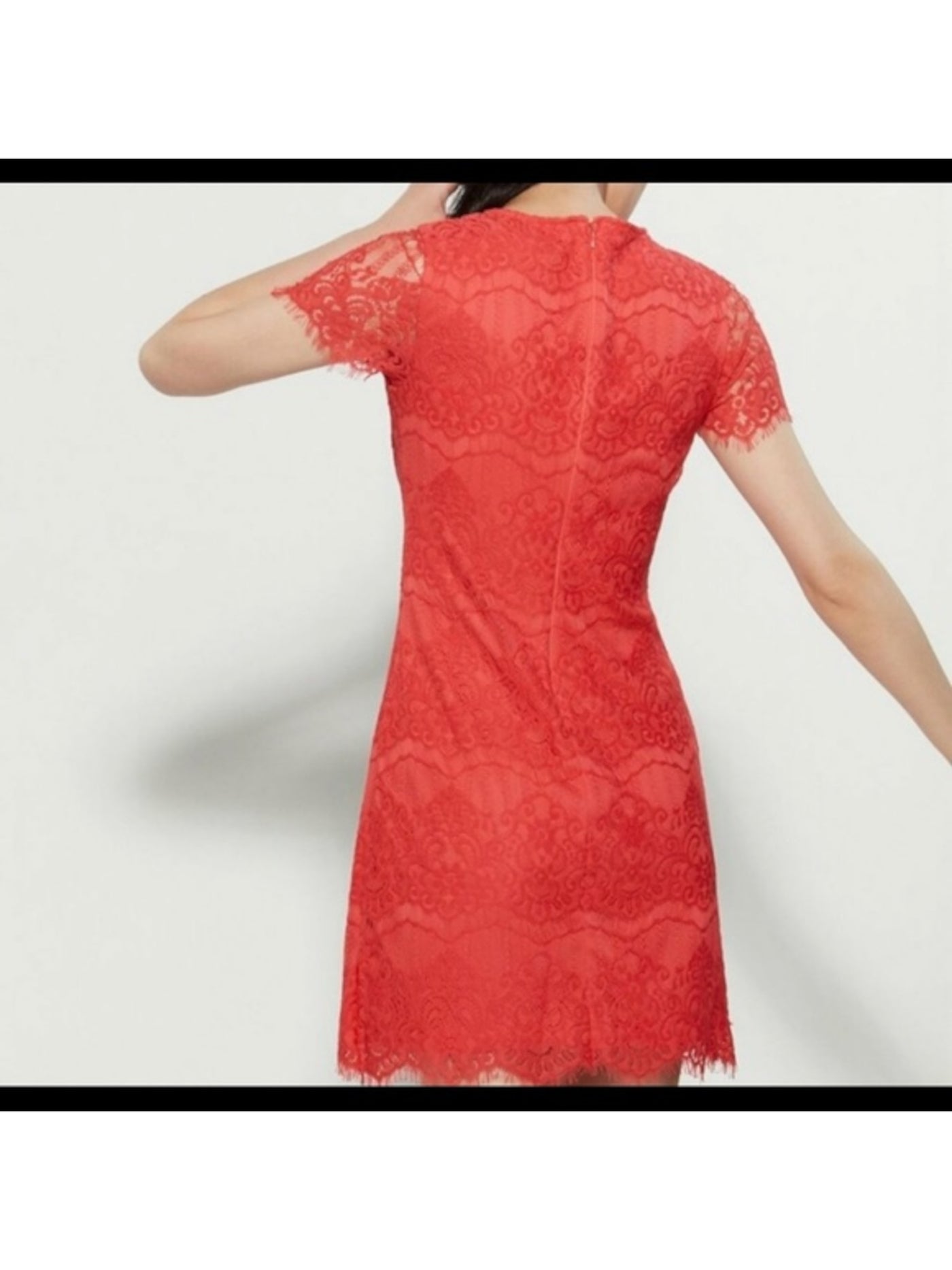 KENSIE DRESSES Womens Orange Zippered Scallop Lace Short Sleeve Crew Neck Above The Knee Party Sheath Dress 10