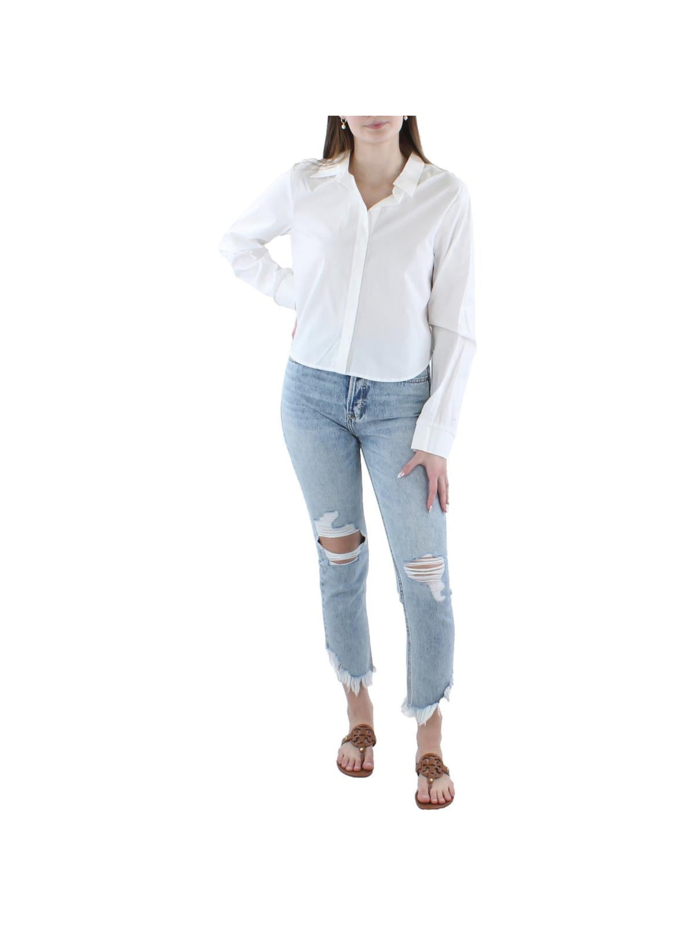 KINGSTON GREY Womens White Short Length Shirttail Hem Long Sleeve Point Collar Button Up Top M