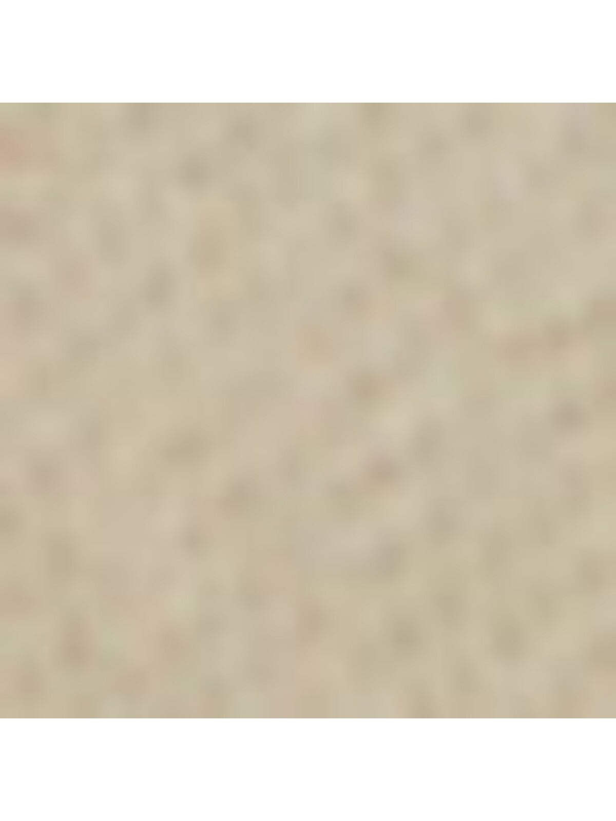 NALEBE Womens Beige Embellished Heel Embellished Padded Aurum Pointed Toe Sculpted Heel Buckle Dress Slingback