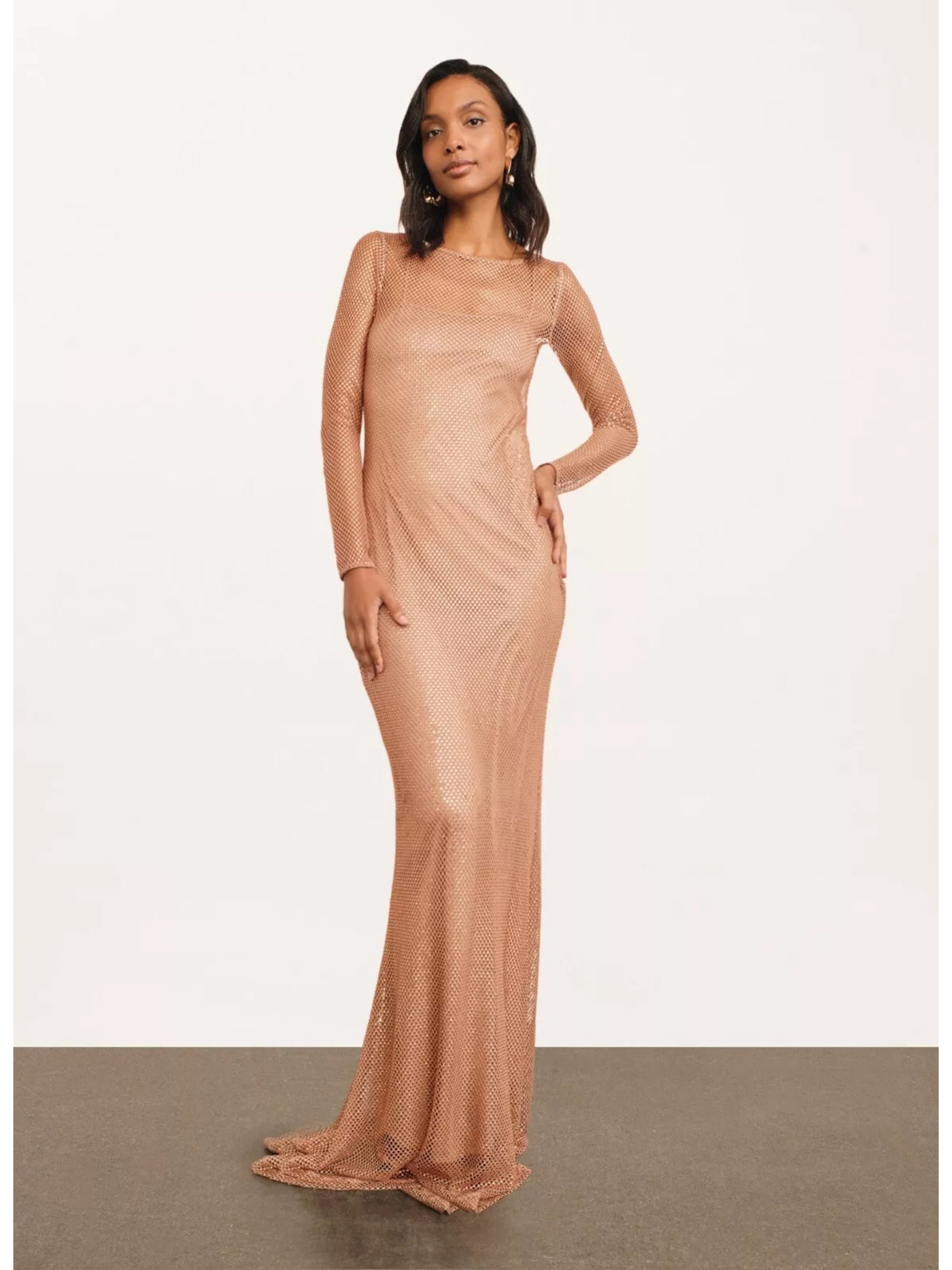 DONNA KARAN NEW YORK Womens Beige Mesh Rhinestone Lined Hidden Side Zip Long Sleeve Round Neck Full-Length Party Gown Dress 10