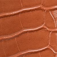 CIRCUS BY SAM EDELMAN Womens Orange Cushioned Pascha Square Toe Block Heel Zip-Up Booties M