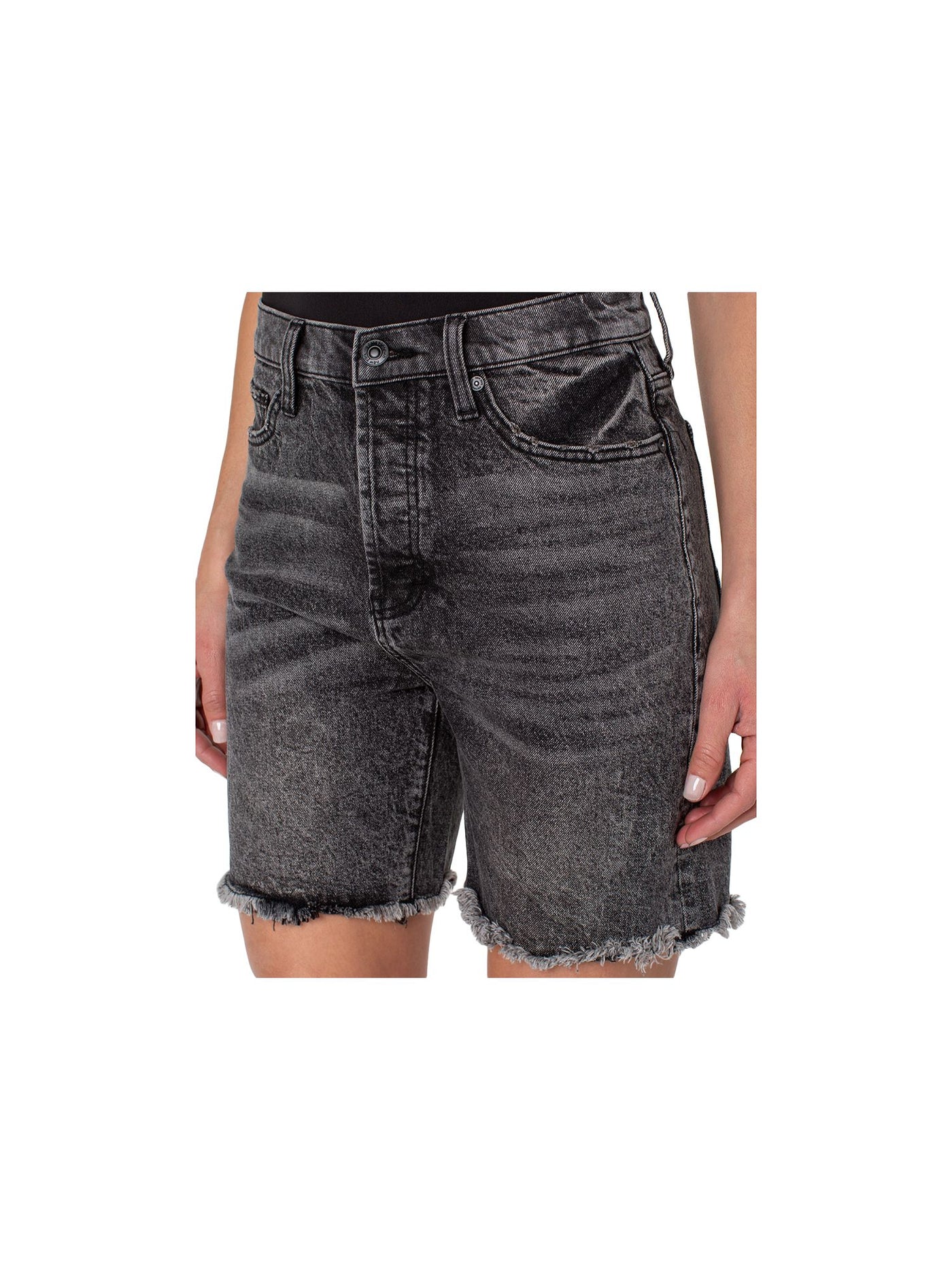 EARNEST SEWN NEW YORK Womens Gray Denim Frayed Pocketed Button Fly High Waist Shorts 25