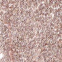 BAR III DRESSES Womens Pink Sequined Lined V Back Pullover Spaghetti Strap V Neck Short Cocktail Sheath Dress